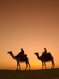 Camels Near the Pyramids at Giza, Cairo, Egypt Photographic Print by Doug Pearson