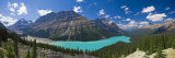 Peyto Lake, Icefields Parkway, Alberta, Canada Lámina fotográfica por Michele Falzone