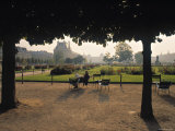 Jardin Des Tuileries, Paris, France Photographic Print by Jon Arnold