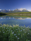 Bow Mountain Range and Herbert Lake, Banff National Park, Alberta, Canada Photographic Print by Michele Falzone