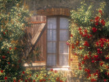 Window, Apt, Provence, France Photographic Print by Walter Bibikow