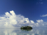 Tropical Island, Raratonga, Cook Islands Photographic Print by Peter Adams