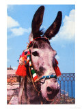 Kitsch Donkey Print