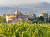 Vineyard and Village, Volpaia, Tuscany, Italy Photographic Print by Peter Adams