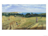 Sandown Bay, Isle of Wight to Culver Cliff with a Cornfield in the Foreground, c.1850 Giclee Print by Richard Burchett