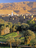Tinerhir, Morocco Photographie par Peter Adams