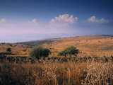 Landscape Above Sea of Galillee, Israel Photographic Print by Jon Arnold