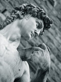 Alan Copson - Statue of David, Florence, Tuscany, Italy Fotografická reprodukce Alan Copson - Statue of David, Florence, Tuscany, Italy Fotografická reprodukce