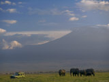Elephant, Mt. Kilimanjaro, Masai Mara National Park, Kenya Photographic Print by Peter Adams