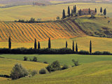 Val d'Orcia, Tuscany, Italy Photographie par Walter Bibikow
