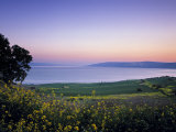 Sea of Galilee, Israel Photographie par Jon Arnold