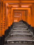 Torii Gates, Fushimi Inari Taisha Shrine, Kyoto, Honshu, Japan Photographic Print by Gavin Hellier