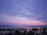 Sea of Galilee, Israel Photographic Print by Jon Arnold