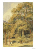 Tamarind and Wild Date Trees, India Lámina giclée por William Carpenter