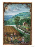 September Leaf from a Calender Book of Hours Giclee-trykk av Simon Benninck