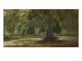 The Old Plane Tree Reproduction procédé giclée par George Wallis