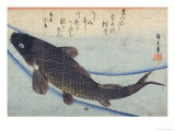 Print of Carp in a Stream reproduction procédé giclée par Hiroshige Utagawa