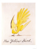 Yellow Bird Giclee Print by Edward Lear