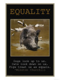 Equality Pósters Equality Pósters
