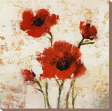 Simply Floral I Stretched Canvas Print by Tim O'toole Simply Floral I Stretched Canvas Print by Tim O'toole