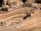 Delicate Arch, Utah Photographic Print
