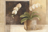 Contemporary Orchid Posters par Albena Hristova