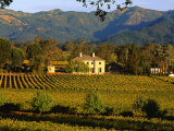 Estate and Vineyard, Napa Valley, California Photographie par John Alves