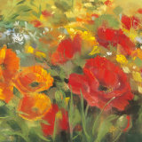 Oriental Poppy Field I Poster par Carol Rowan
