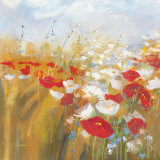 Poppies and Larkspur I Art by Carol Rowan