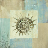 Sea Finds III Pósters por Lisa Audit Sea Finds III Pósters por Lisa Audit