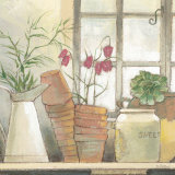 Macetas de flores Láminas por Adelene Fletcher Macetas de flores Láminas por Adelene Fletcher