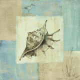 Sea Finds IV Láminas por Lisa Audit Sea Finds IV Láminas por Lisa Audit