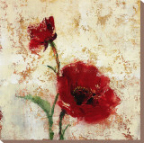 Simply Floral II Stretched Canvas Print by Tim O'toole Simply Floral II Stretched Canvas Print by Tim O'toole