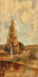 Autumn Hills II Póster por Silvia Vassileva