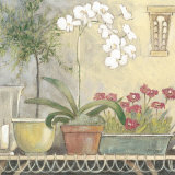 Orquídea (pequeña) Láminas por Adelene Fletcher Orquídea (pequeña) Láminas por Adelene Fletcher