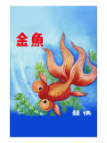 Fancy Bubble Eye Goldfish Posters