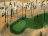 Golf Course, Phoenix, Arizona Photographic Print