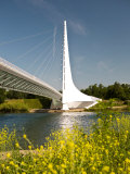 Scenic Walking Bridge over the Sacrament River, Redding, California Lámina fotográfica por Michele Westmorland Scenic Walking Bridge over the Sacrament River, Redding, California Lámina fotográfica por Michele Westmorland