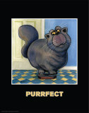 Purrfect Prints by Kourosh 