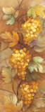 Autumn Grapes I Poster von Albena Hristova