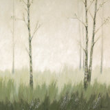 Birch Glade Prints by Sabrina Roscino Birch Glade Prints by Sabrina Roscino