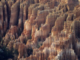Bryce Canyon, Utah Photographic Print