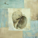 Sea Finds I Pósters por Lisa Audit Sea Finds I Pósters por Lisa Audit