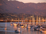 Harbor, Santa Barbara, California Photographic Print by Nik Wheeler