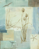 Blue Waters II Affiches par Lisa Audit