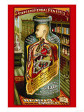 Dr. Kilmer's Standard Herbal Remedies Photo