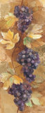 Autumn Grapes II Posters by Albena Hristova