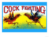 Cock Fighting Posters