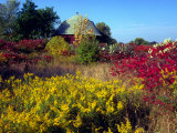 Round Barn and Goldenrod, Grand Rapids, Michigan Photographie par Ian Adams