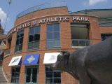 Durham Bulls Athletic Park, Durham, North Carolina Photographic Print by Lynn Seldon